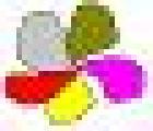 (24) logo1.jpg - 28 x 24