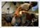061207-ys-04.jpeg (0.076 MB)