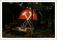 061207-ys-16.jpeg (0.061 MB)