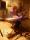 UNI_5879.JPG (0.113 MB)