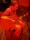 UNI_8246.JPG (0.094 MB)