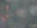 SAM_0349.JPG (0.079 MB)