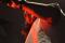 DSC_1675.JPG (0.133 MB)